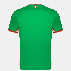 Flash Sale Le Coq Sportif Aviron Bayonnais - tenue de matchMaillot replica Third Aviron Bayonnais Vert