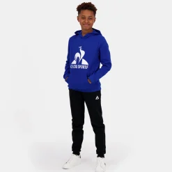 Hot Le Coq Sportif EssentielsSweat à capuche Enfant Bleuelectro