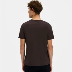 Store Le Coq Sportif T-shirt Homme Molé